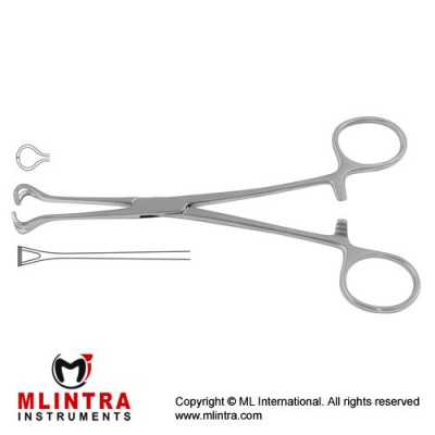 Babcock Intestinal and Tissue Grasping Forceps Stainless Steel, 15.5 cm - 6" 